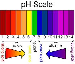 Understanding Your Hair Through Its pH Level - Hair by Brian