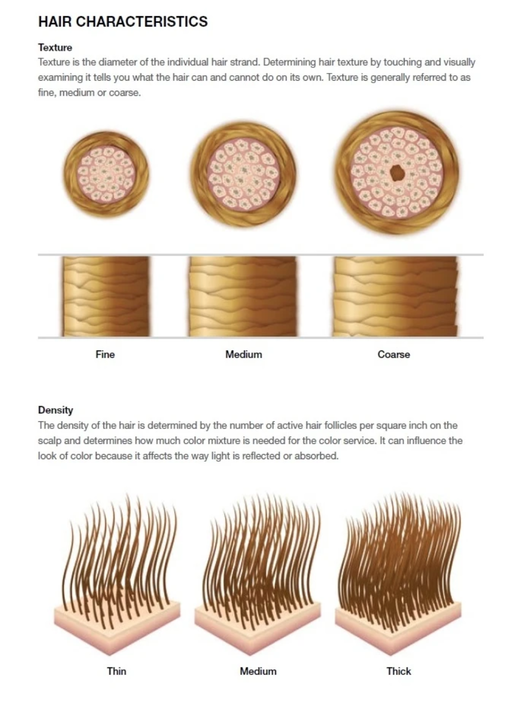 What Is Hair Density and Why Does It Matter? - Hair by Brian