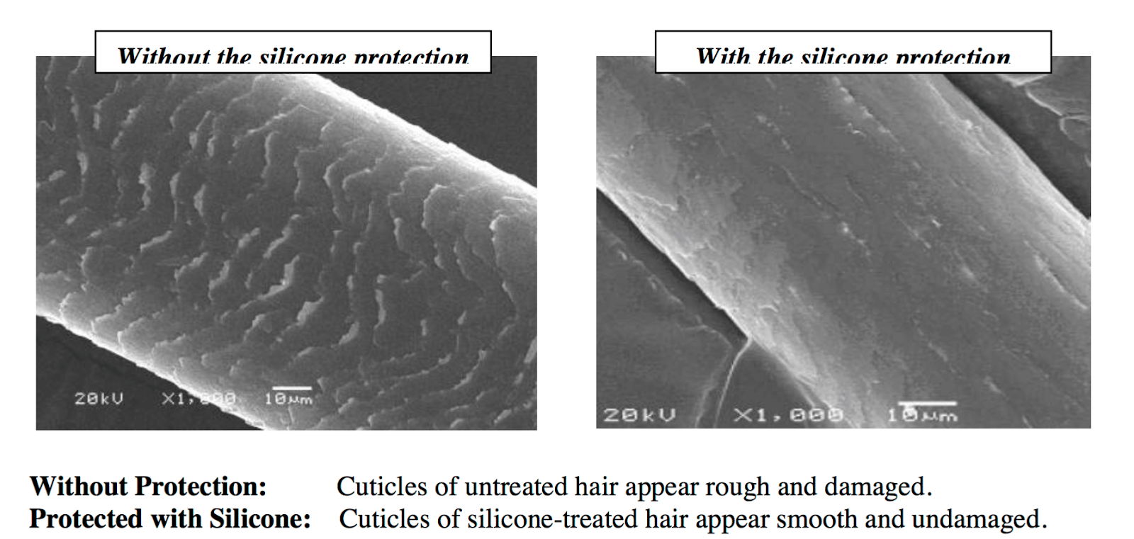Silicones in Hair Care: Why The Bad Rap? - Hair by Brian